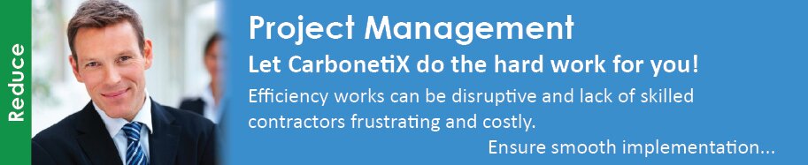 CarbonetiX � Energy Efficiency Project Management